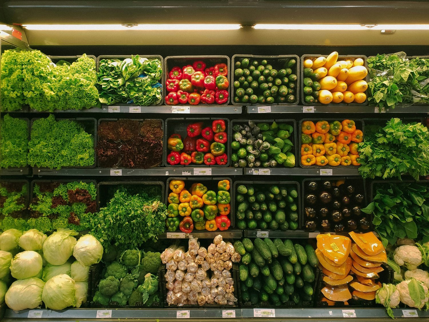 Agri Commodities and Foodstuff